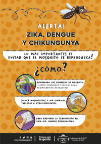 web-afiche-dengue